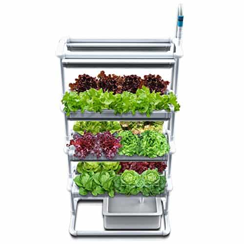 Hydroponics - Smart Gardening