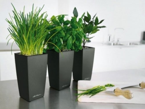 Self-Watering Smart Pots