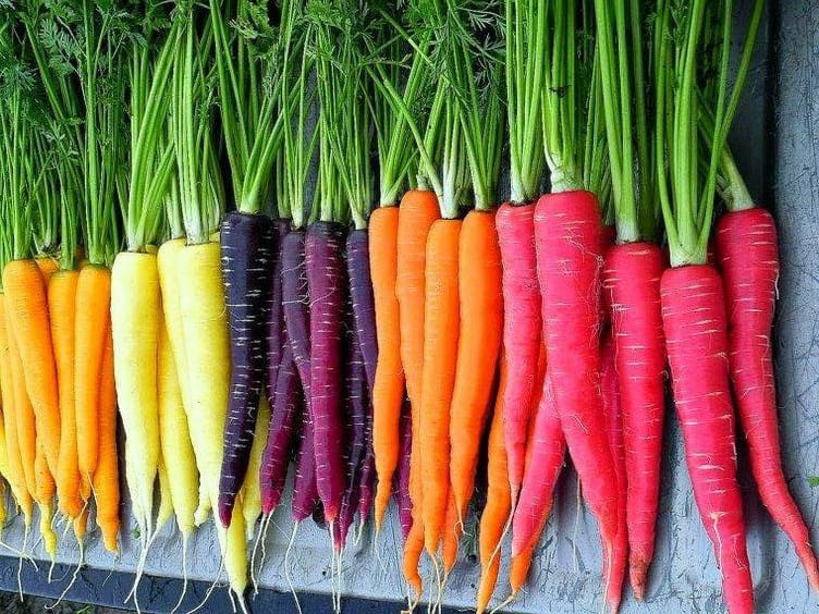 Carrots