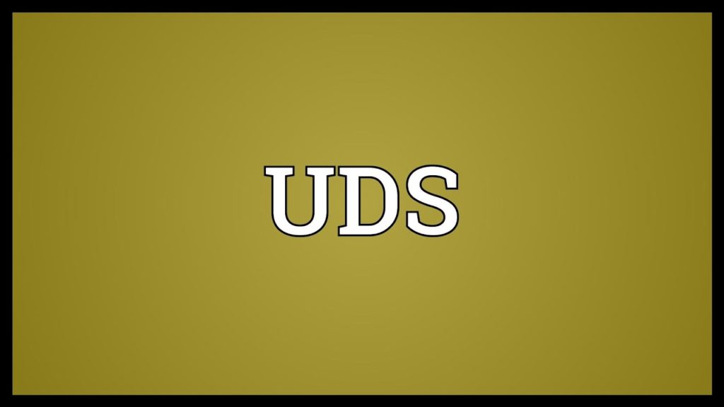 What Is Undivided Share (UDS)