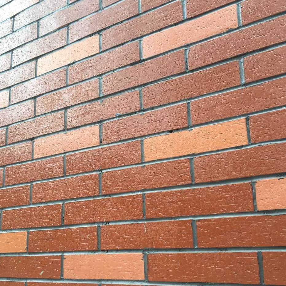 Facing Bricks