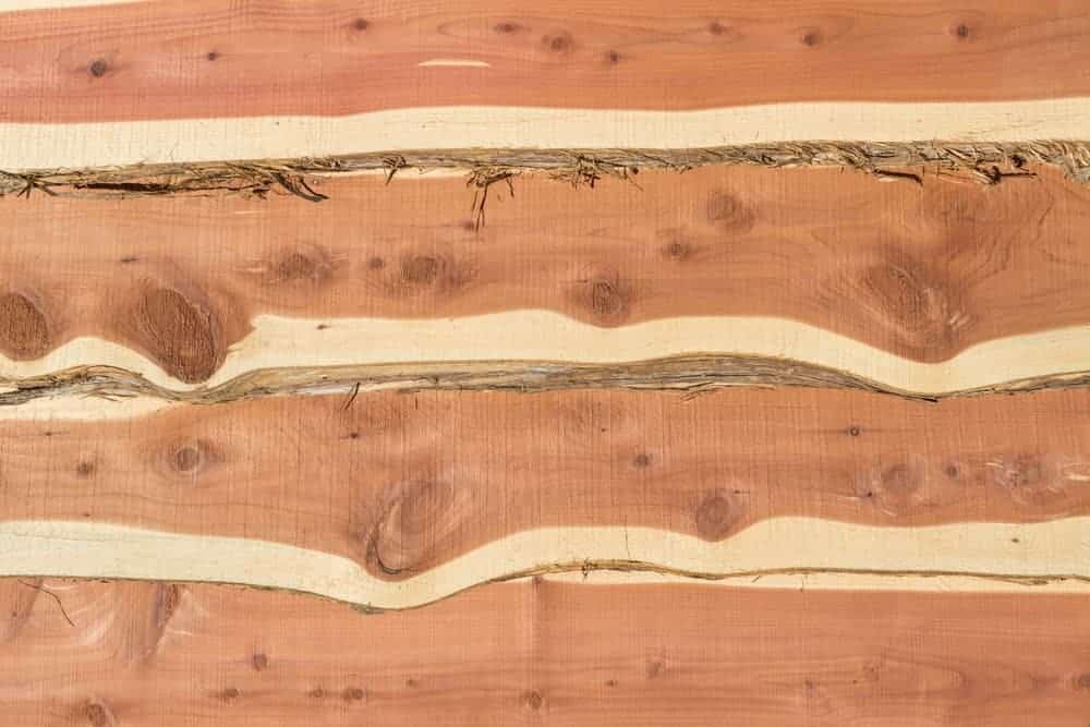 Cedar - Types of Woods