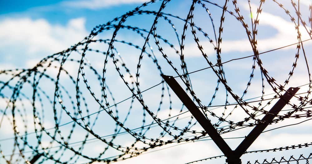 Barbed Wire Fences