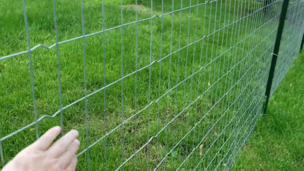 Welded Wire Fence