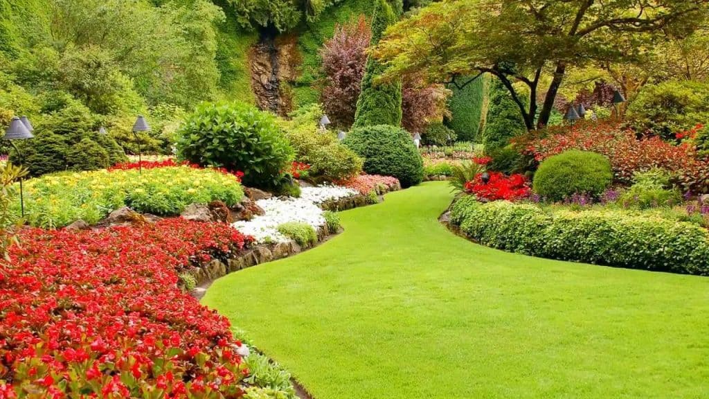 Types of Gardens