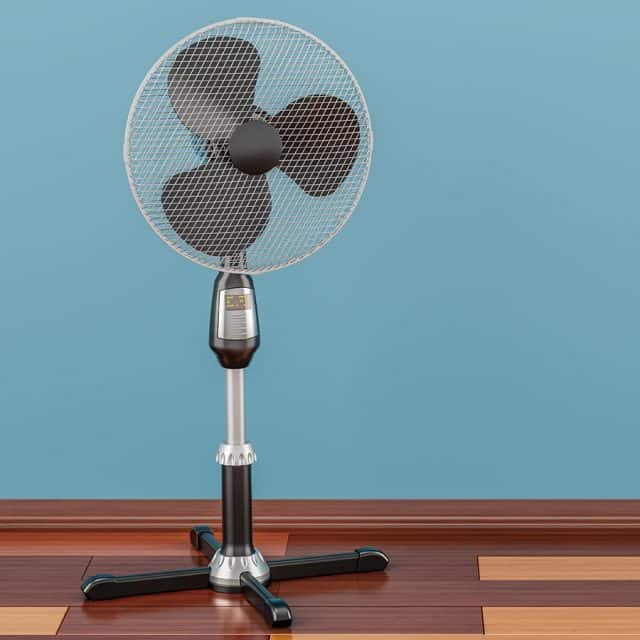 Pedestal Fans