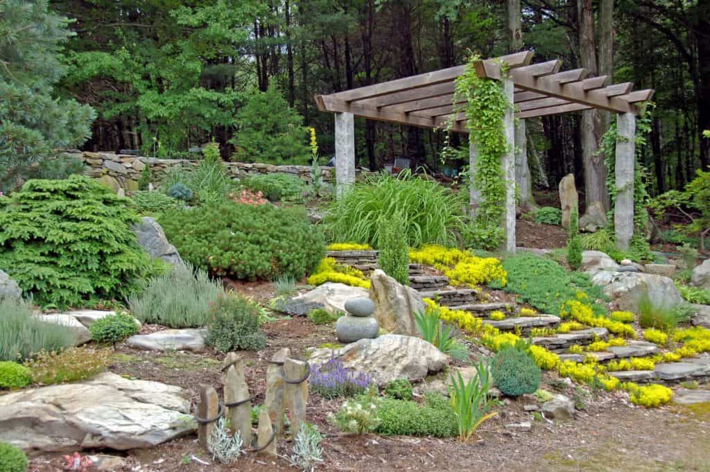 Rock Gardens