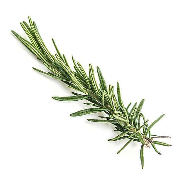 Rosemary