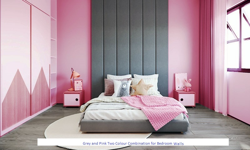 Grey and Pink Two Colour Combination for Bedroom Walls