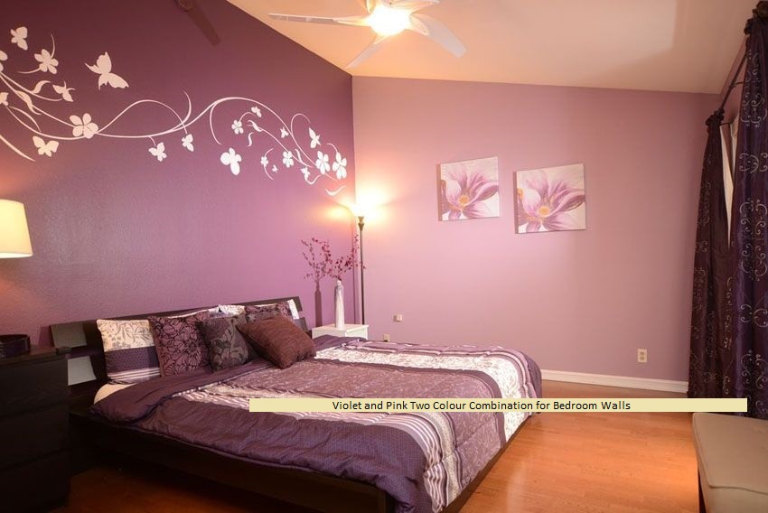 Violet and Pink Two Colour Combination for Bedroom Walls