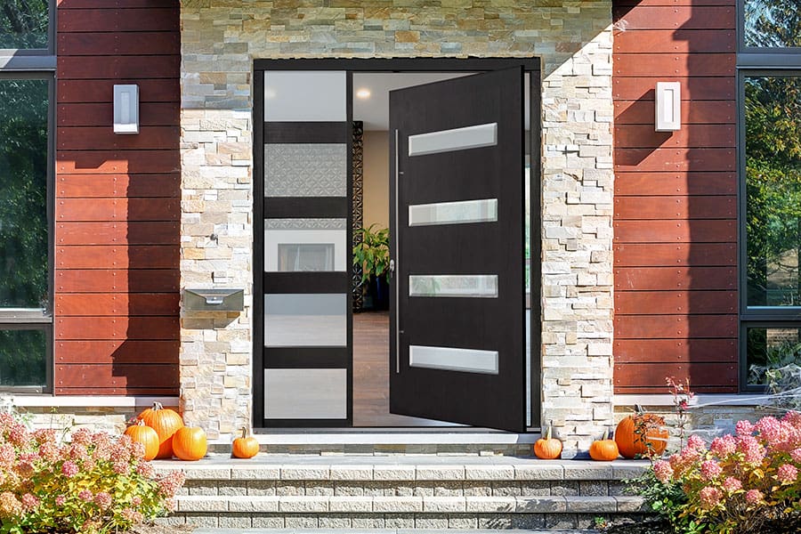 Modern Pivot Double Doors