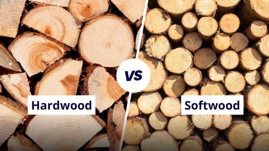 Difference Between Hardwood and Softwood