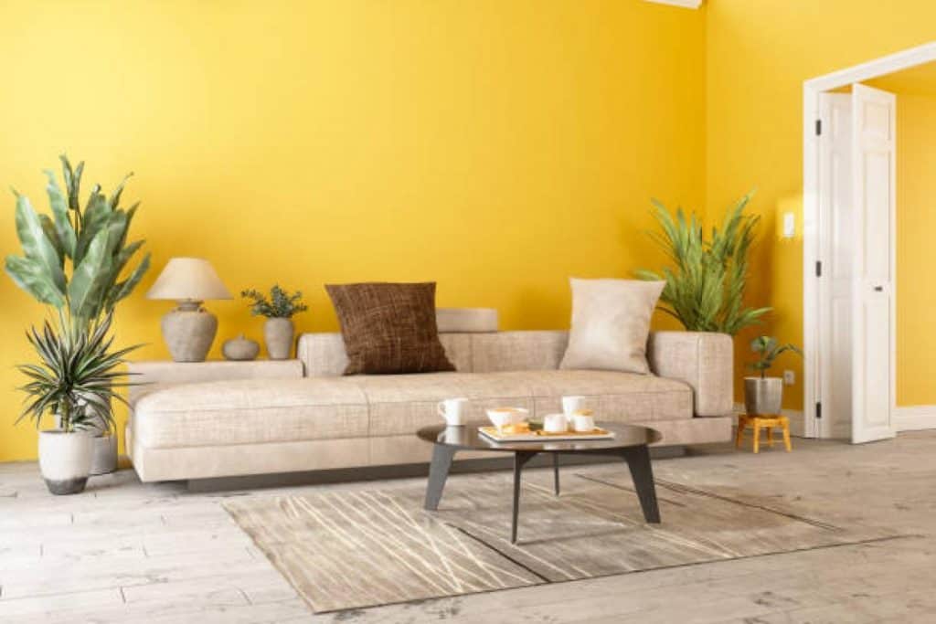 20 Best Color Combination for Yellow 31